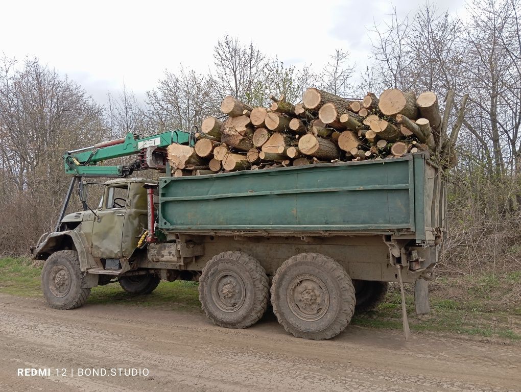 Дрова твердих порід