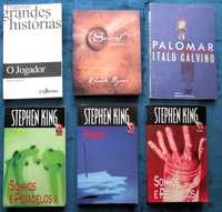 Stephen King; O Segredo; Palomar; Jogador