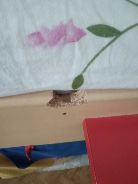 Кровать Cilek, с горкой и палаткой, для детей и подростков