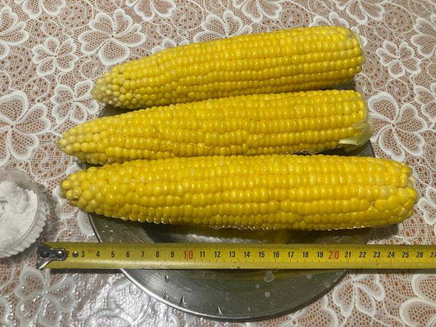 Продам кукурудзу сорт Добриня ф1 дуже смачна опт/вроздріб від 10 грн