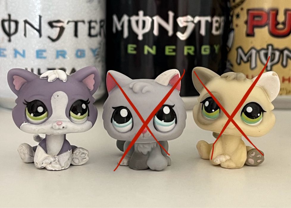 Продам оригинальных котят лпс lps