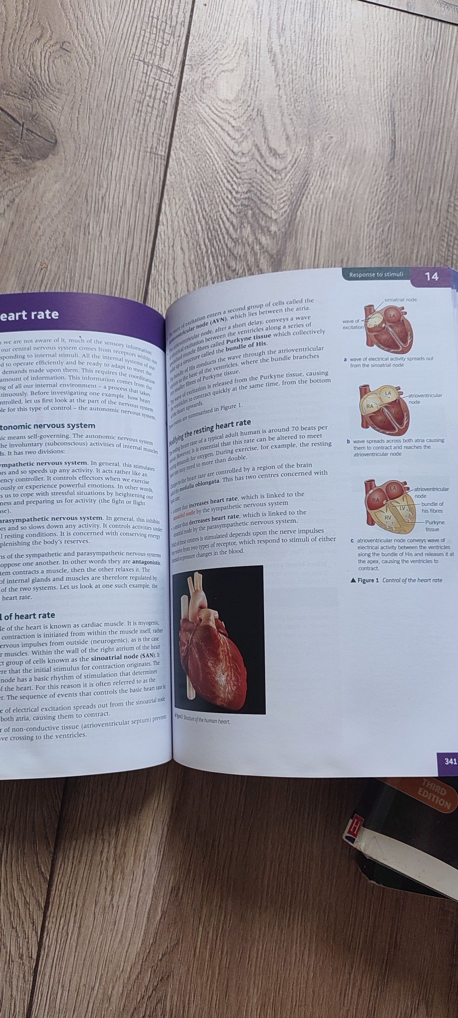 Książka do biologii po angielsku BIOLOGY IMAT, BMAT