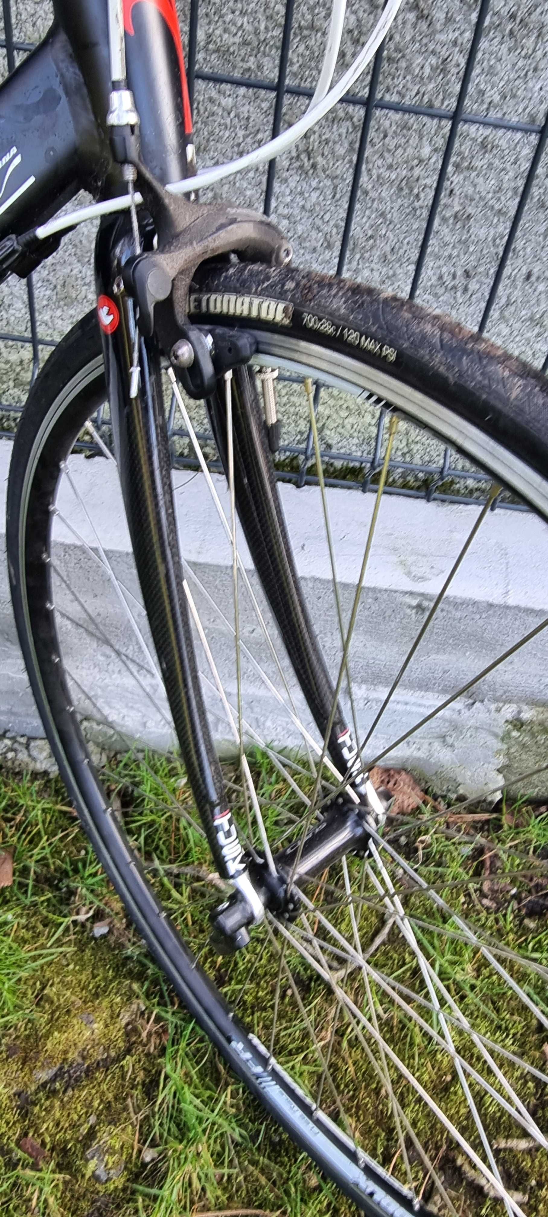 Rower wilier triestina weekend asolo