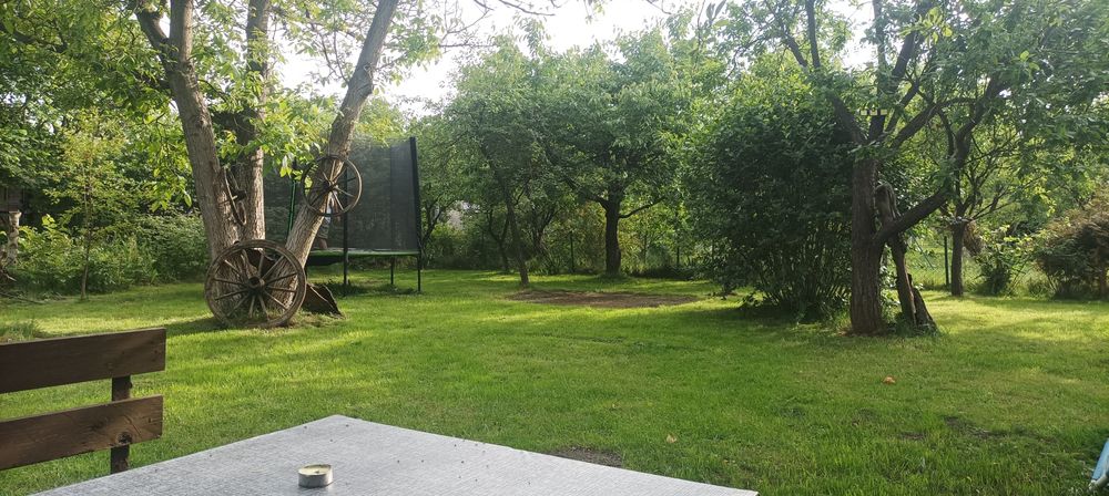 Sprzedam działkę ROD 600m2