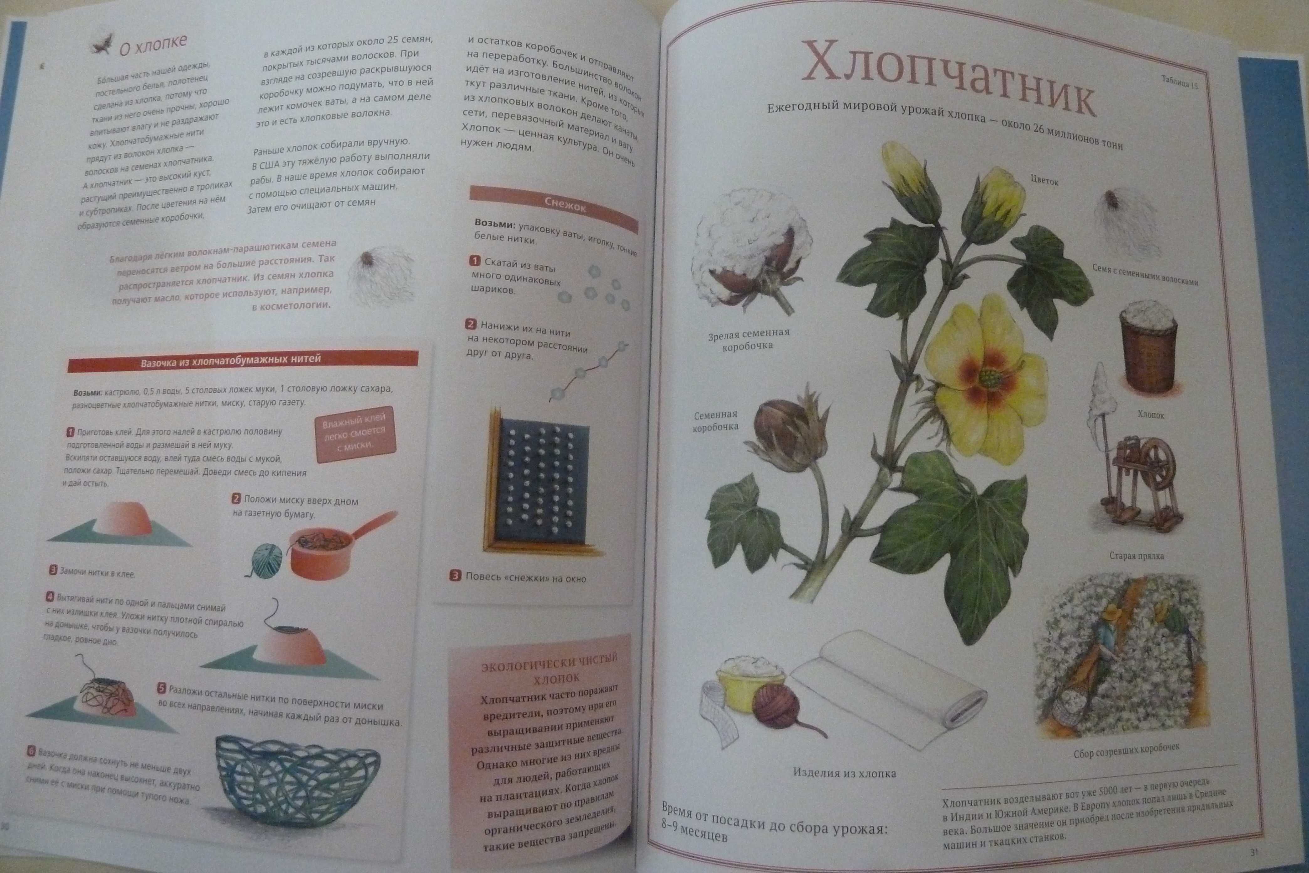 Скарби землі Сюзанна Ріха рус