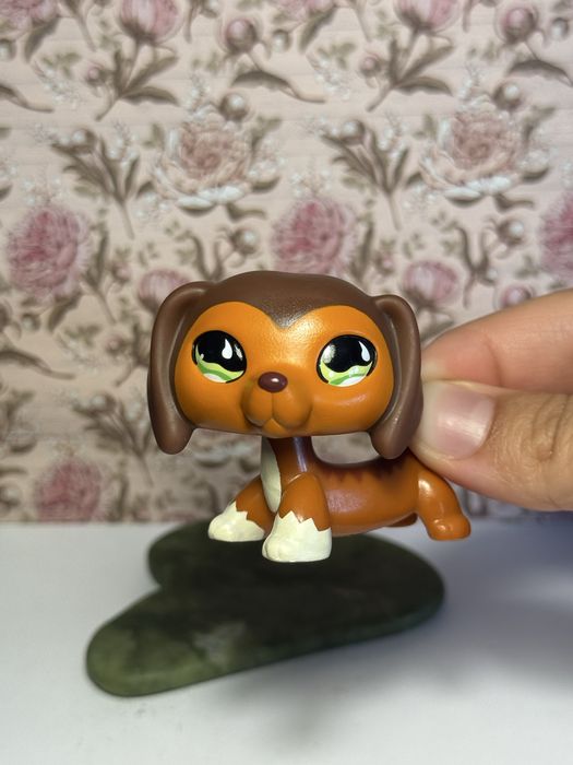 Kolekcjonerska Figurka LPS littlest pet shop