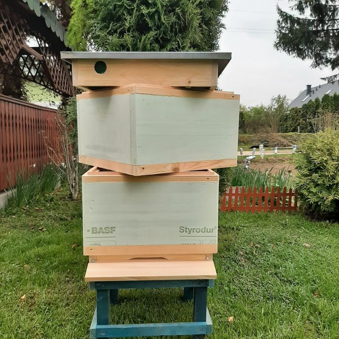 Ul ule Wielkopolskie 10 ramkowe korpusy styrodu środku drewno