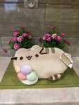 Pusheen z lodem lodami orginalny nowy dla dziewczynki