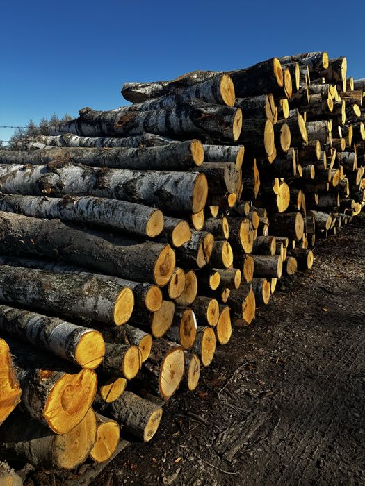 Drewno  Kominkowe Opałowe  BRZOZA !!!