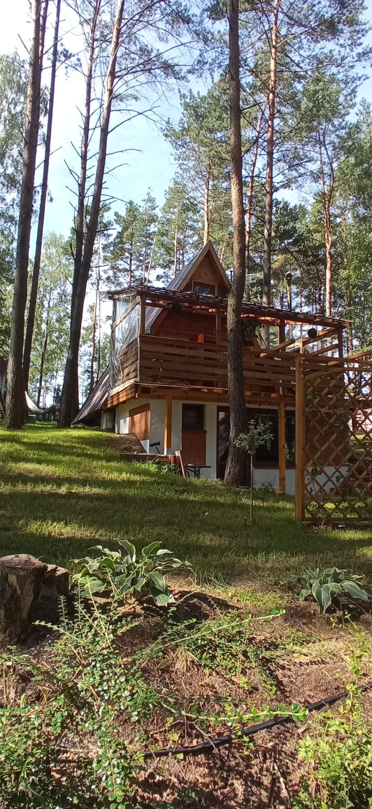 Noclegi domki nad jeziorem Hartowieckim Leśne Zacisze