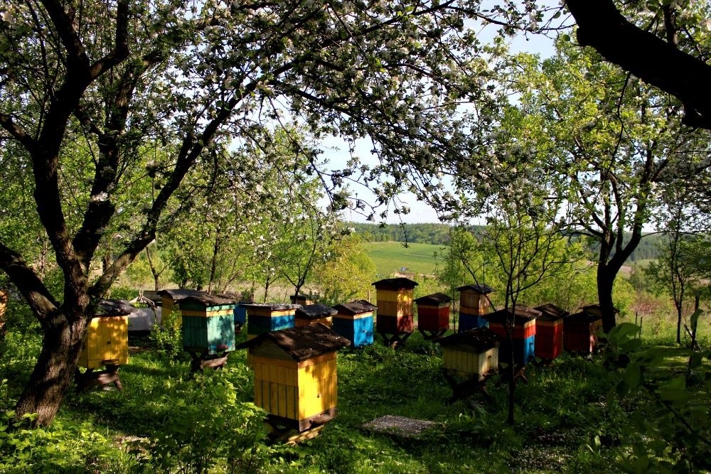 Agroturystyka u Agaty, Noclegi Ojców