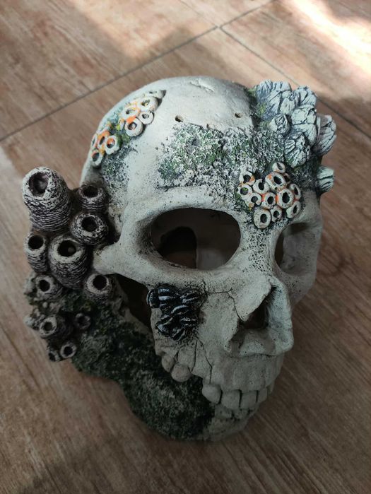 Decoração Aquário * Caveira