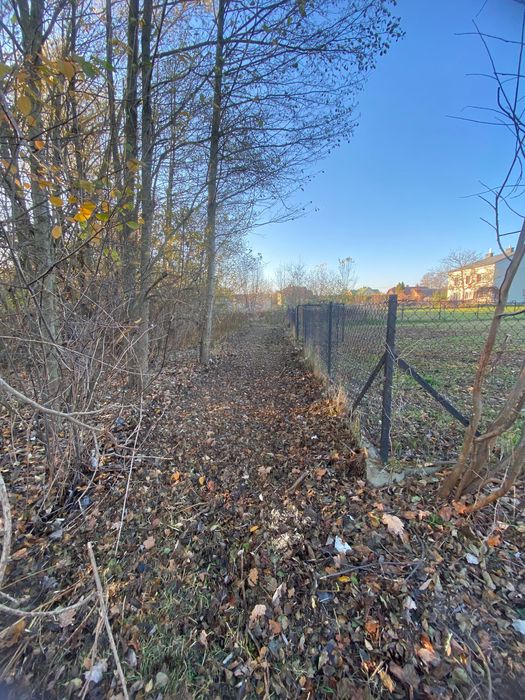 Koszenie działek, wycinka drzew, zarośli, prace porzadkowe itp.