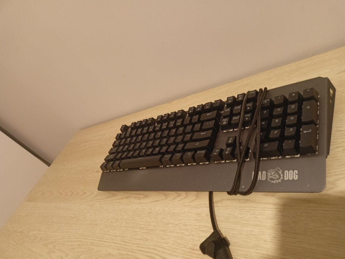 HP Pavilion Gaming 15 | Ryzen 5 | GTX 1050 | Razer Kraken X