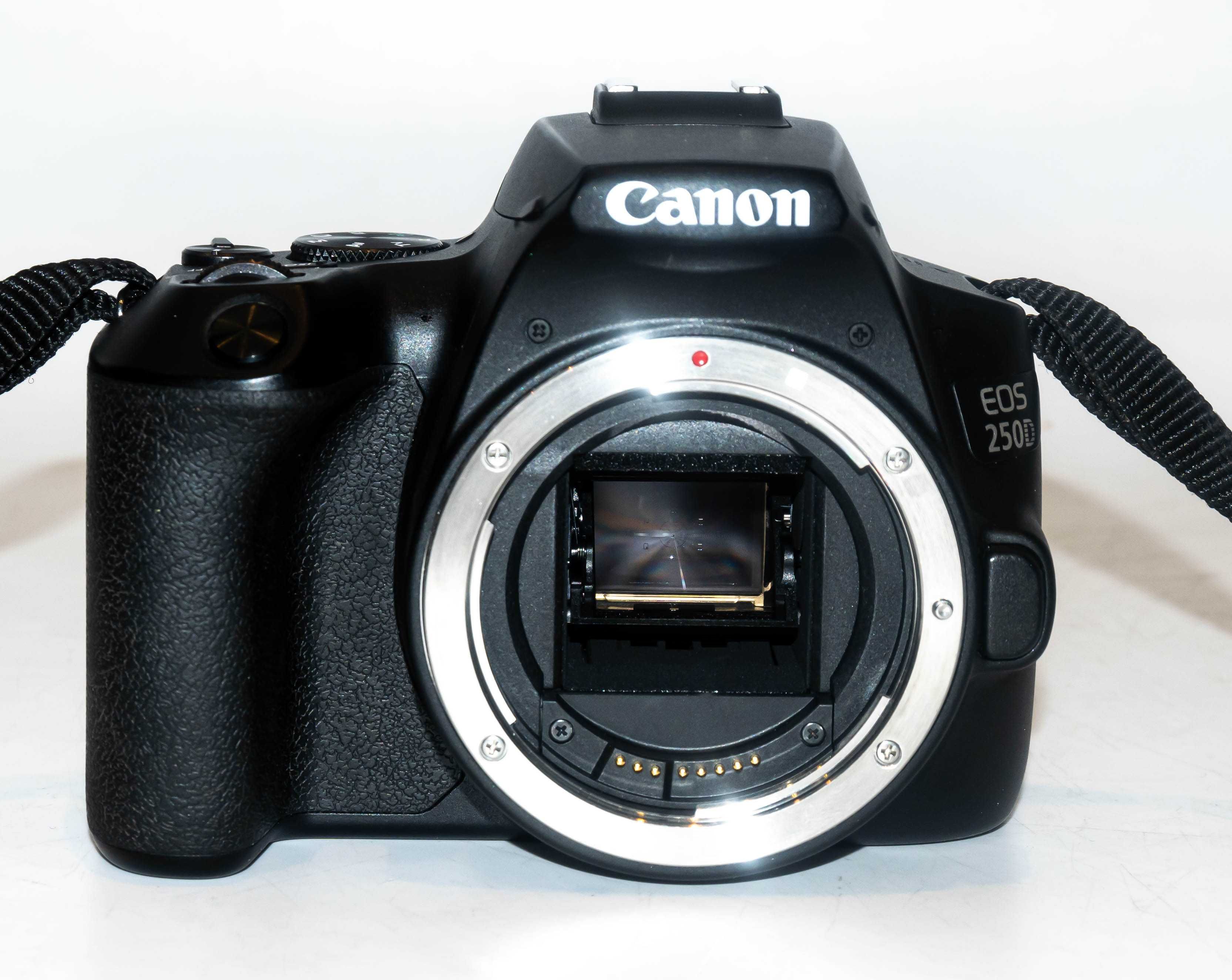 Aparat Canon EOS 250D BODY 24.1Mpix 5TYŚ