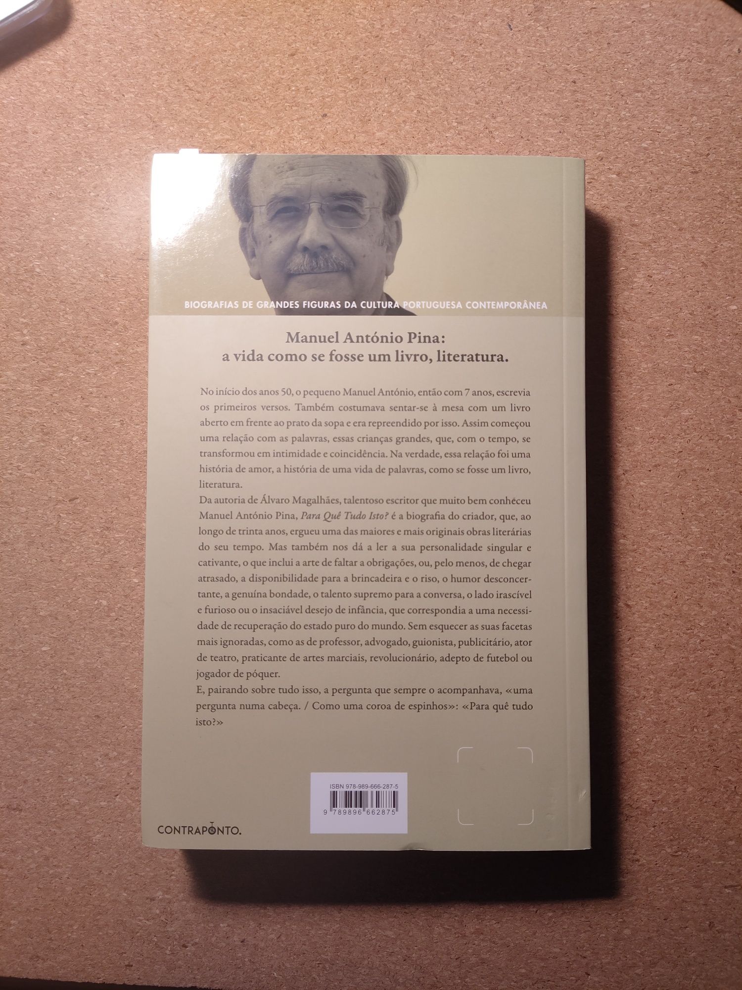 (COMO NOVO) Para Quê Tudo Isto - Álvaro Magalhães