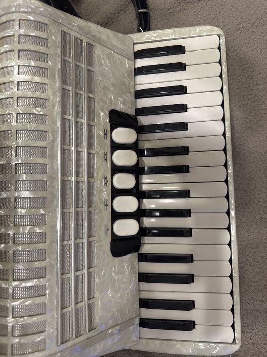 Acordeão em otimo estado