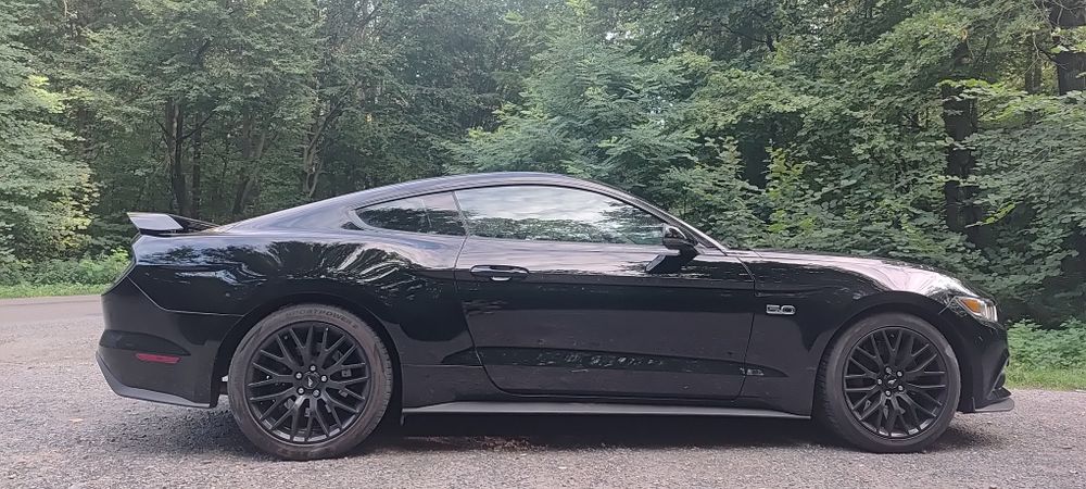 Ford mustang 5.0gt Performance