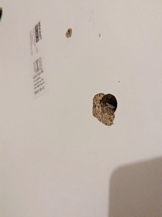 Biurko narożne lewe Ikea Bekant regulowane 160x110cm