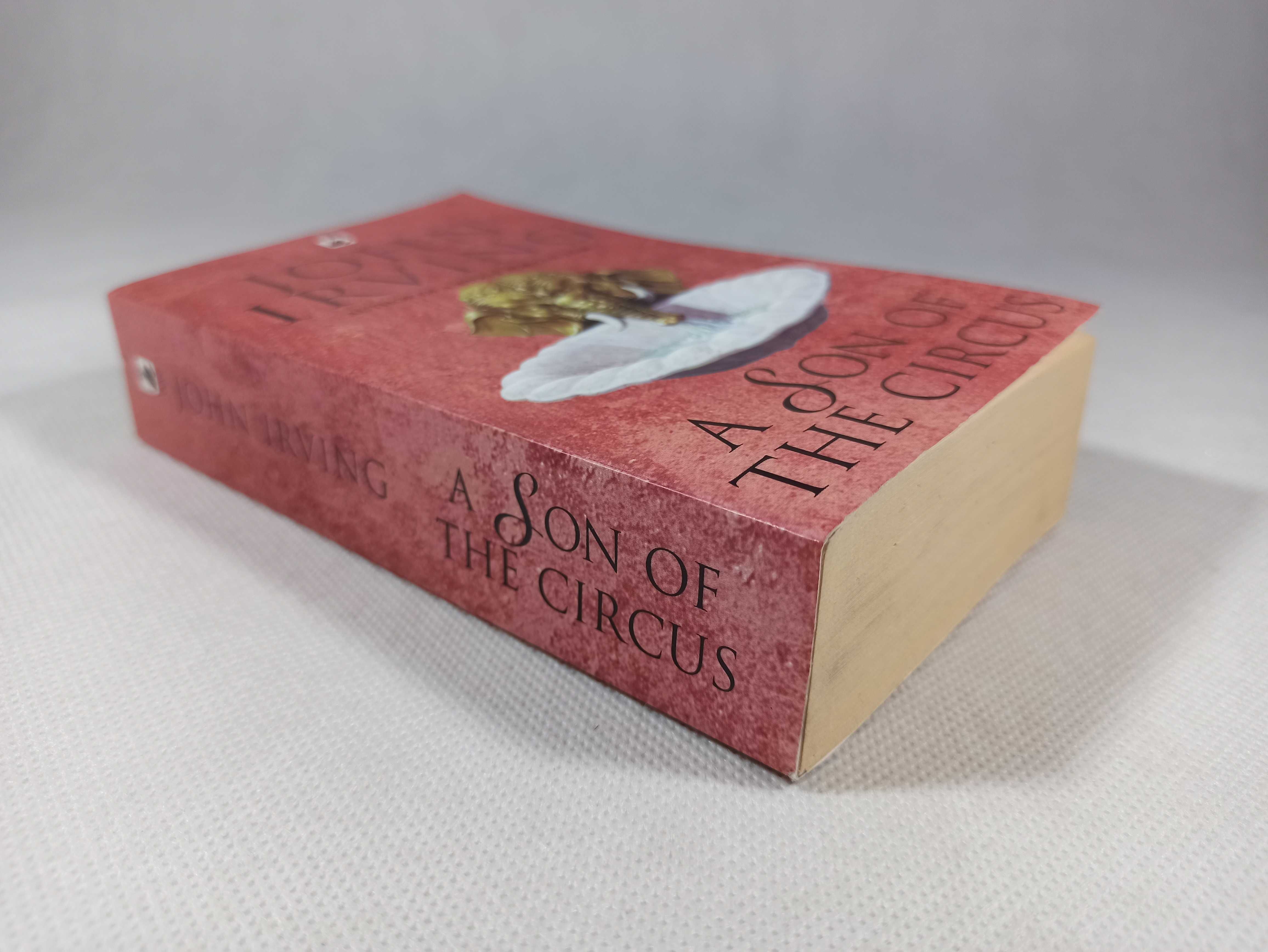 A Son of The Circus / John Irving