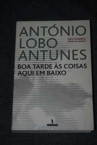 [] Boa Tarde às Coisas Aqui em Baixo, António Lobo Antunes