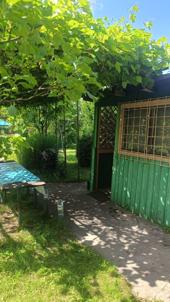 Dzialka ROD "DOLAM" ul. Mościckiego, Brochów, Wrocław