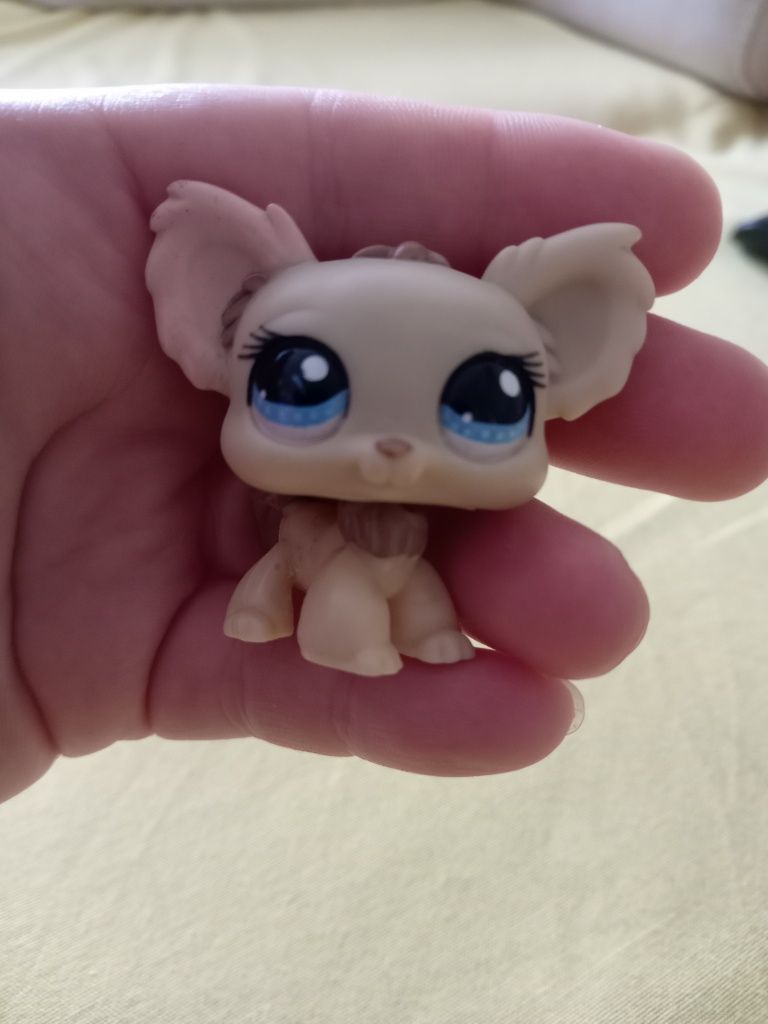 Littlest Pet Shop LPS чихуахуа