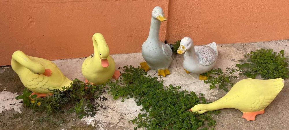 Patos antigos decorativos em barro