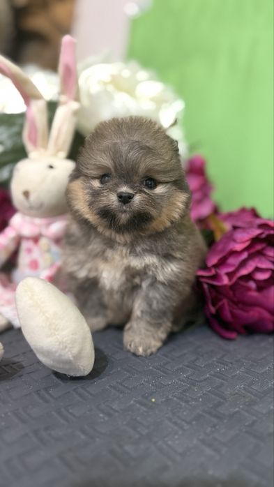 Бусінка дівчинка помаранчова