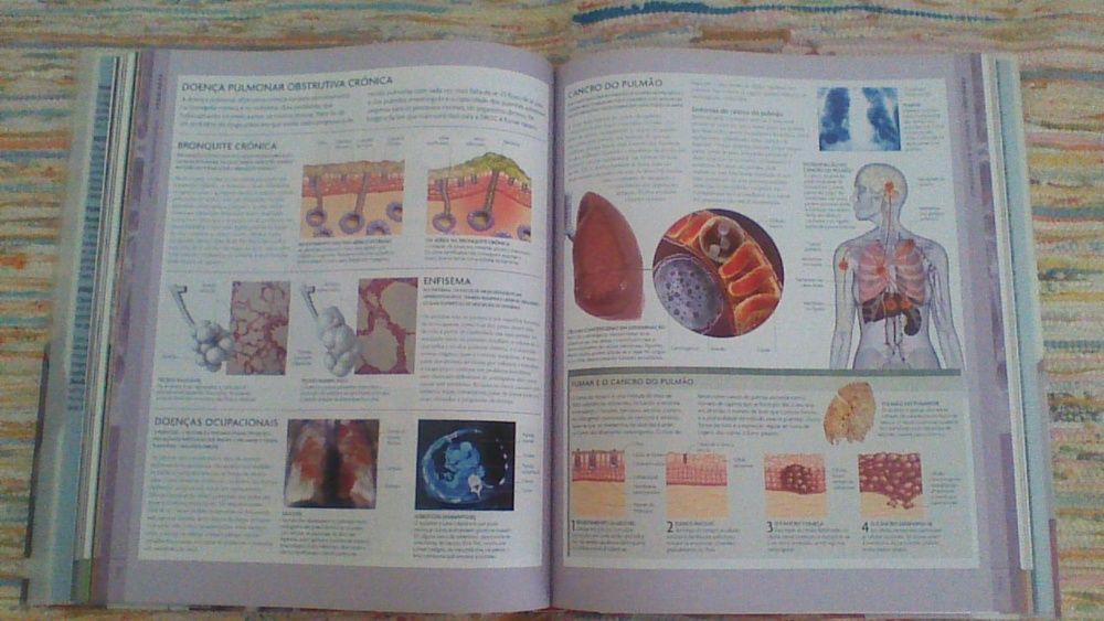 Livro " ANOTOMIA e Fisiologia do CORPO HUMANO"