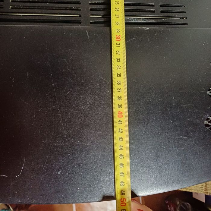 Salamndra em bom estado