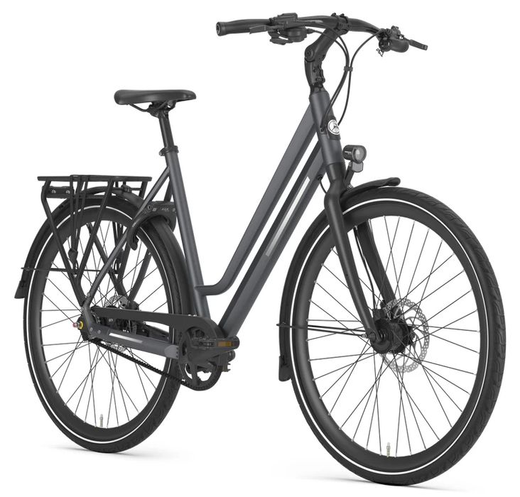 Rower na pasku Gazelle Chamonix S11 Alfine 11 Unisex Cloud grey mat