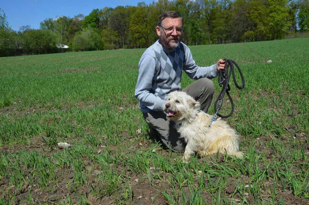 Oskar – jork miedarski, ekspert od spacerowania