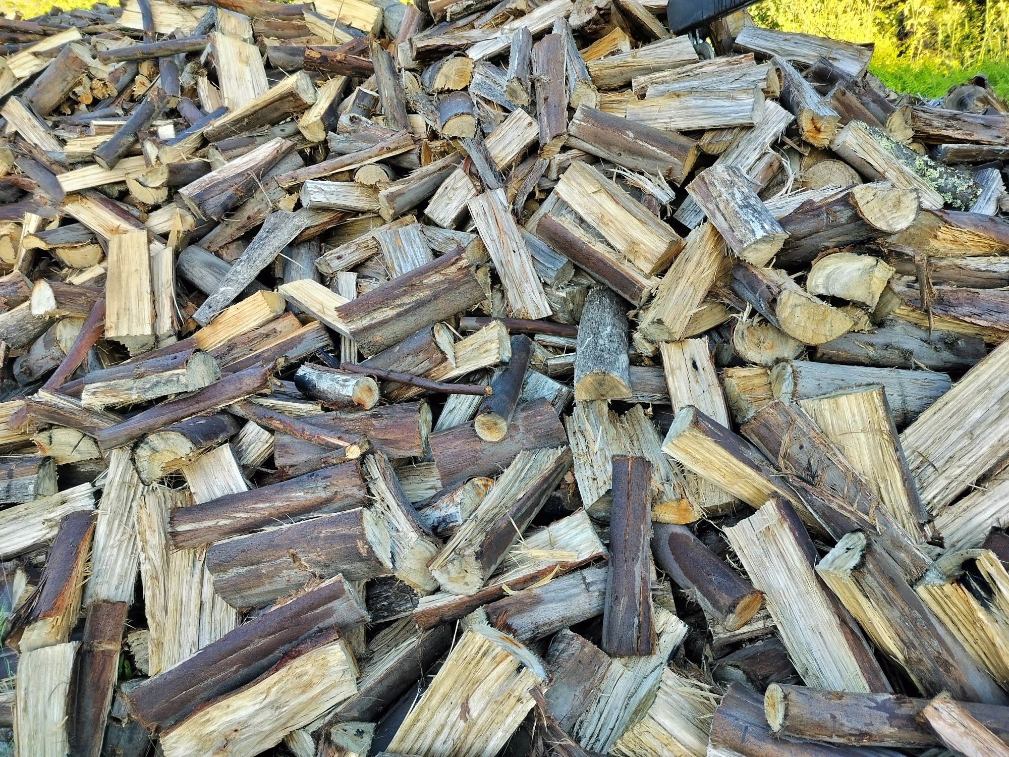 Vendo lenha seca