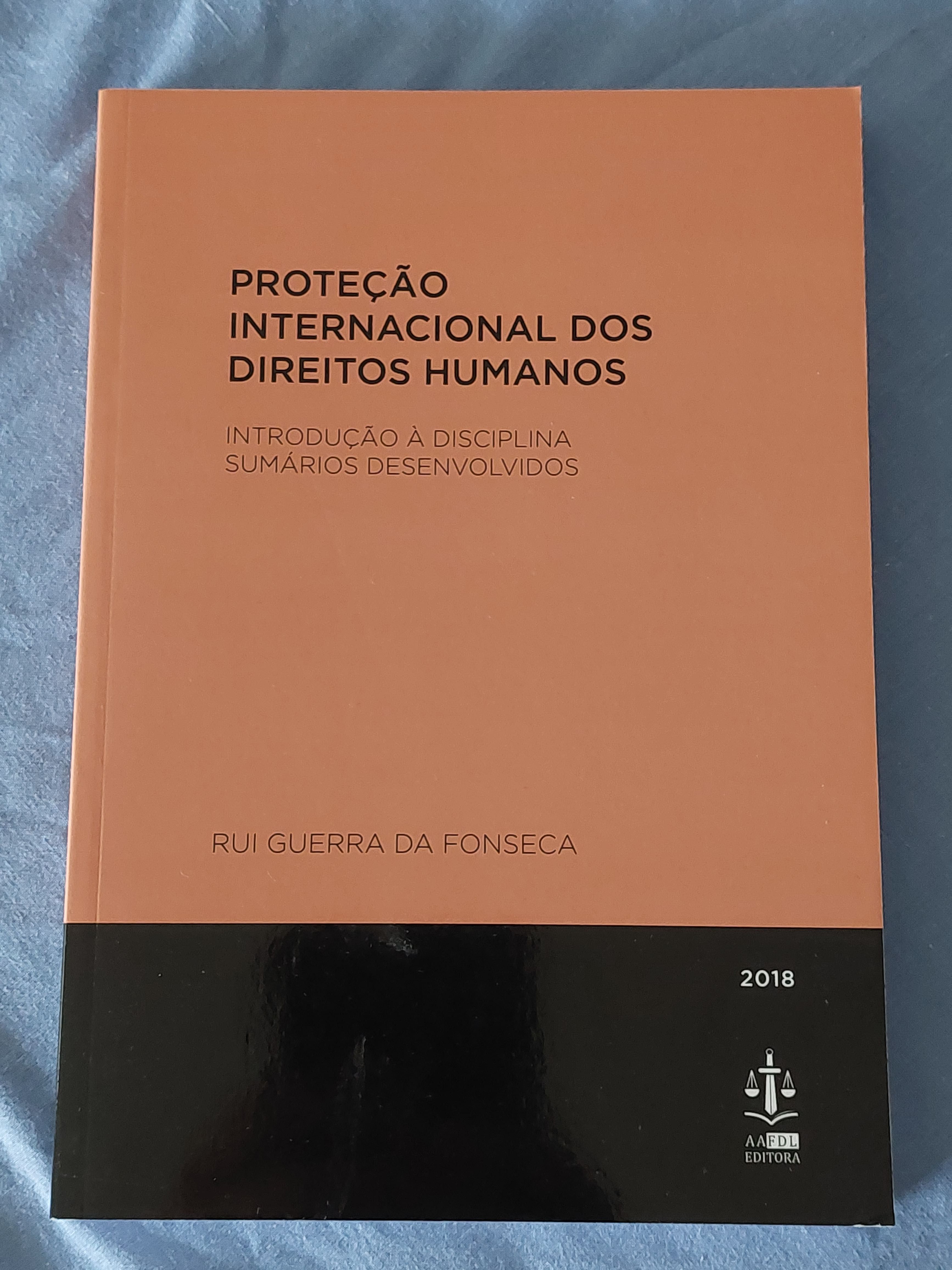 Proteção Internacional dos Direitos Humanos, Guerra Fonseca