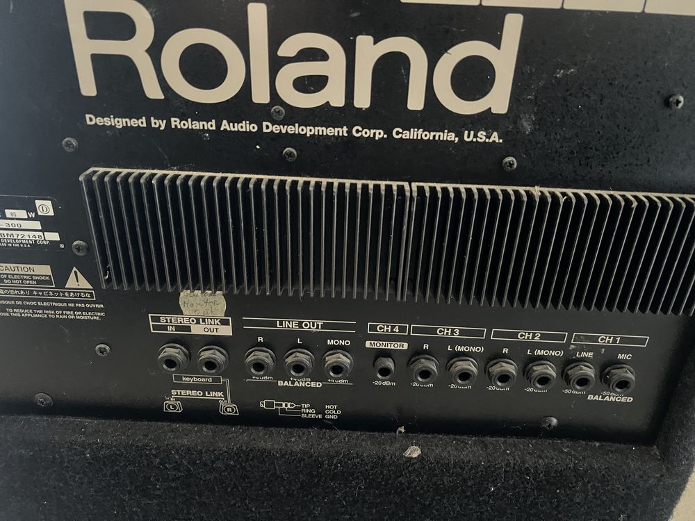 Amplificador Coluna roland