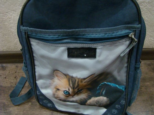 Школьный рюкзак Bagland