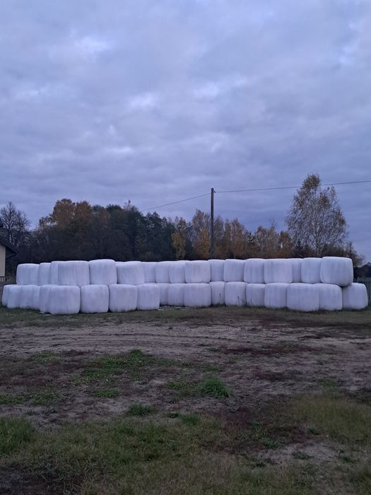 Sprzedam sianokiszonkę