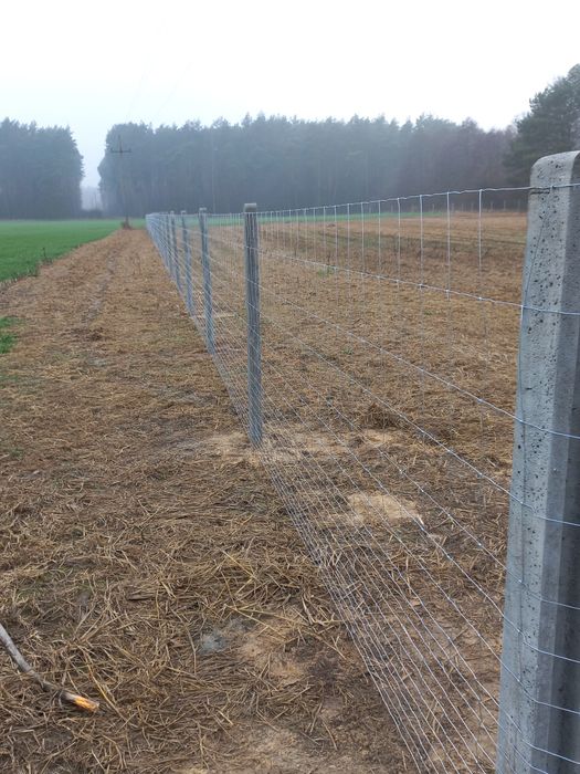 Komplet ogrodzenie z siatka leśna słupki stemple tymczasowe budowlane