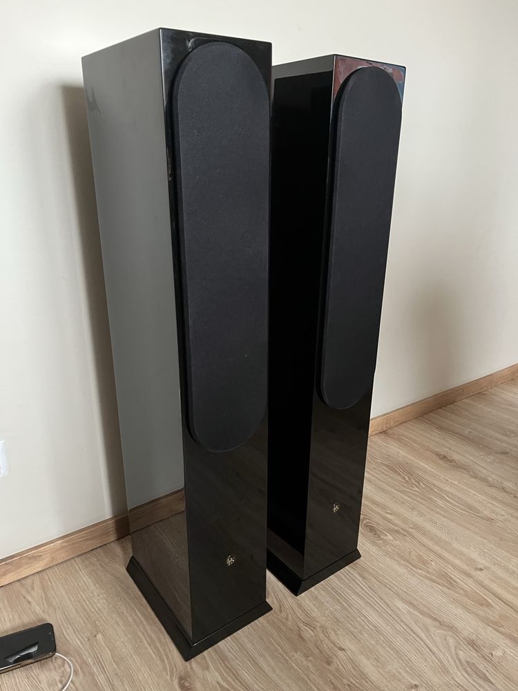 Audiofilskie DLS r55