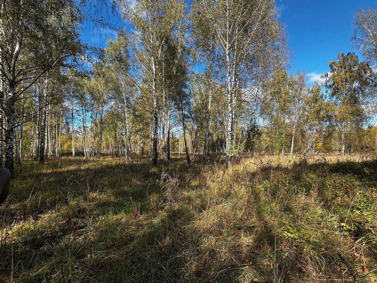 Продам участок под котеджную застройку, Заваловка