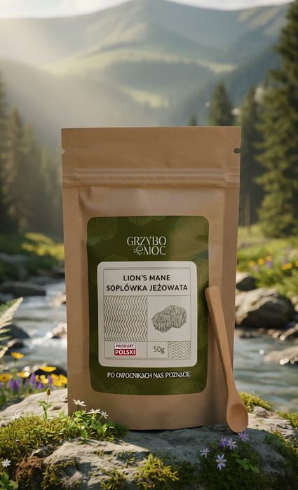 Polska Soplówka Jeżowata - suszona 50g.