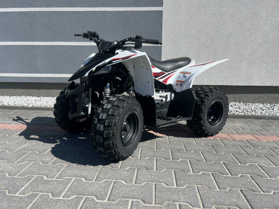 Yamaha Raptor 50cc
