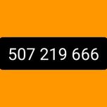 Starter 507.219.666