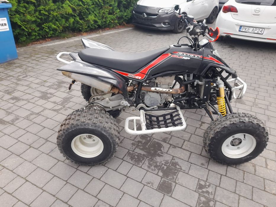 Gas gas Wild HP 450 homologacja