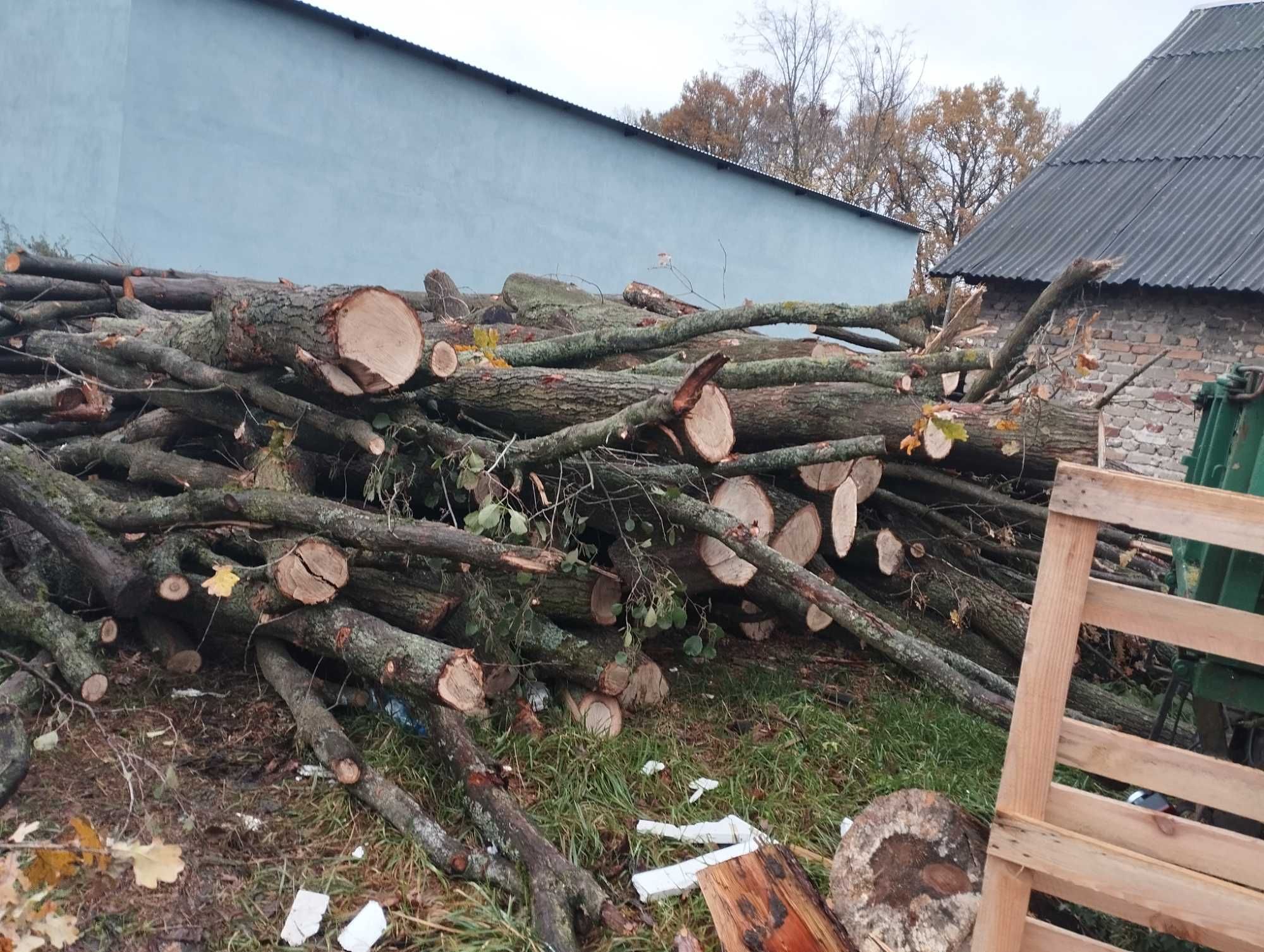 Drewno drzewo opałowe SOSNA POCIETA OPAŁ SUCHE