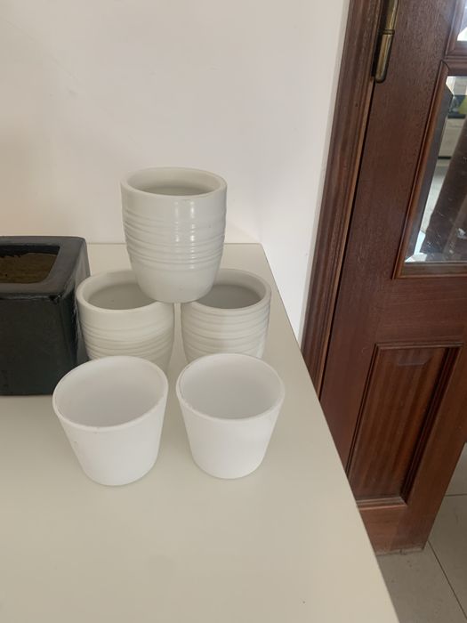 Conjunto com 12 vasos de plantas
