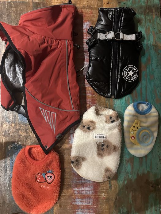 Ubranka dla psów XS