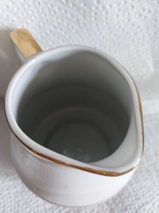 Mlecznik porcelanowy Chodzież Roman