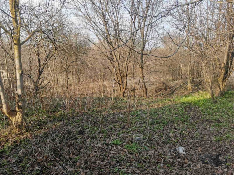 Терміново!!! Продам ділянку з будинком в с. Лісові Гринівці! 33903